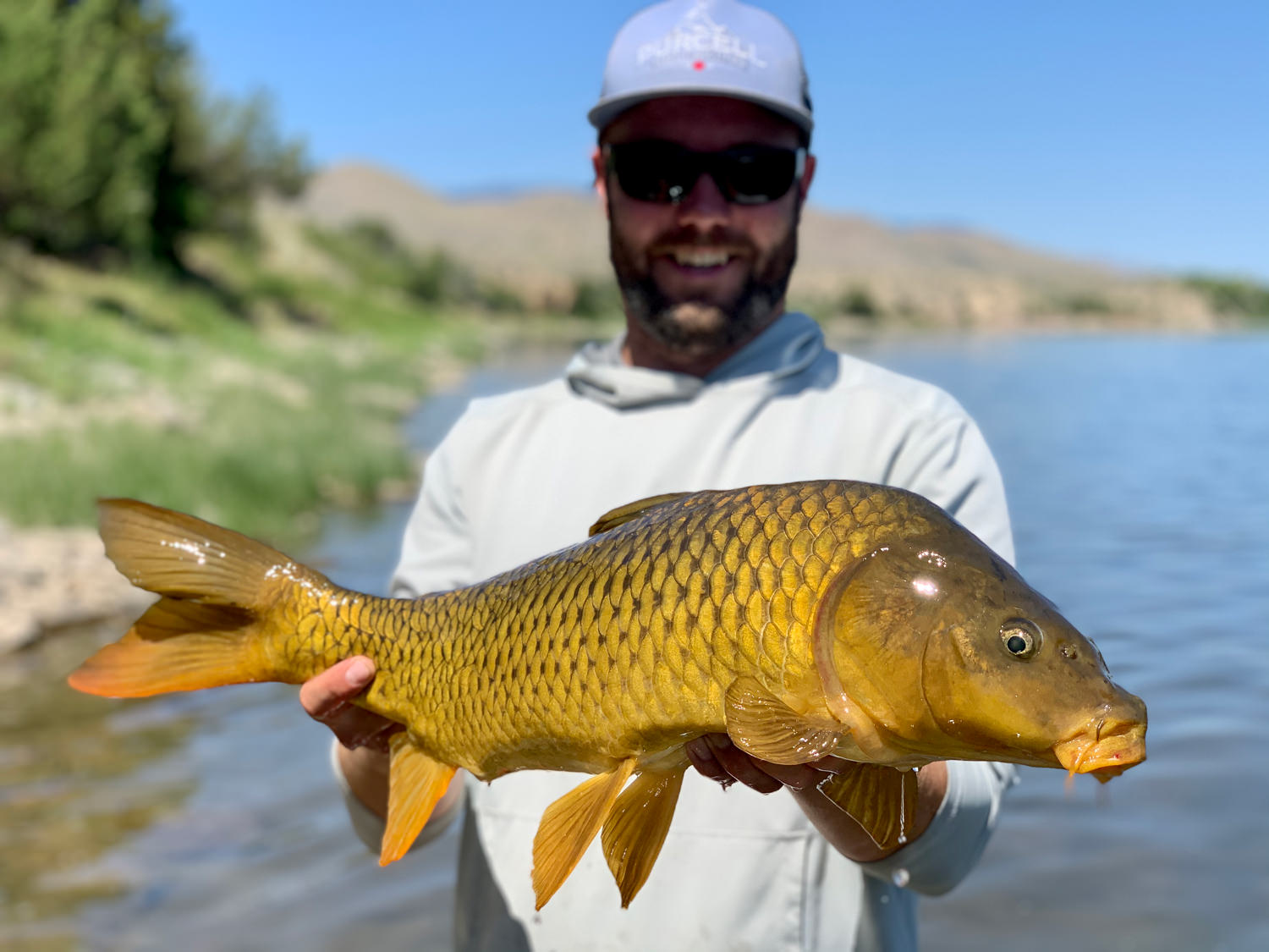 MT Trout Co Carp Trips