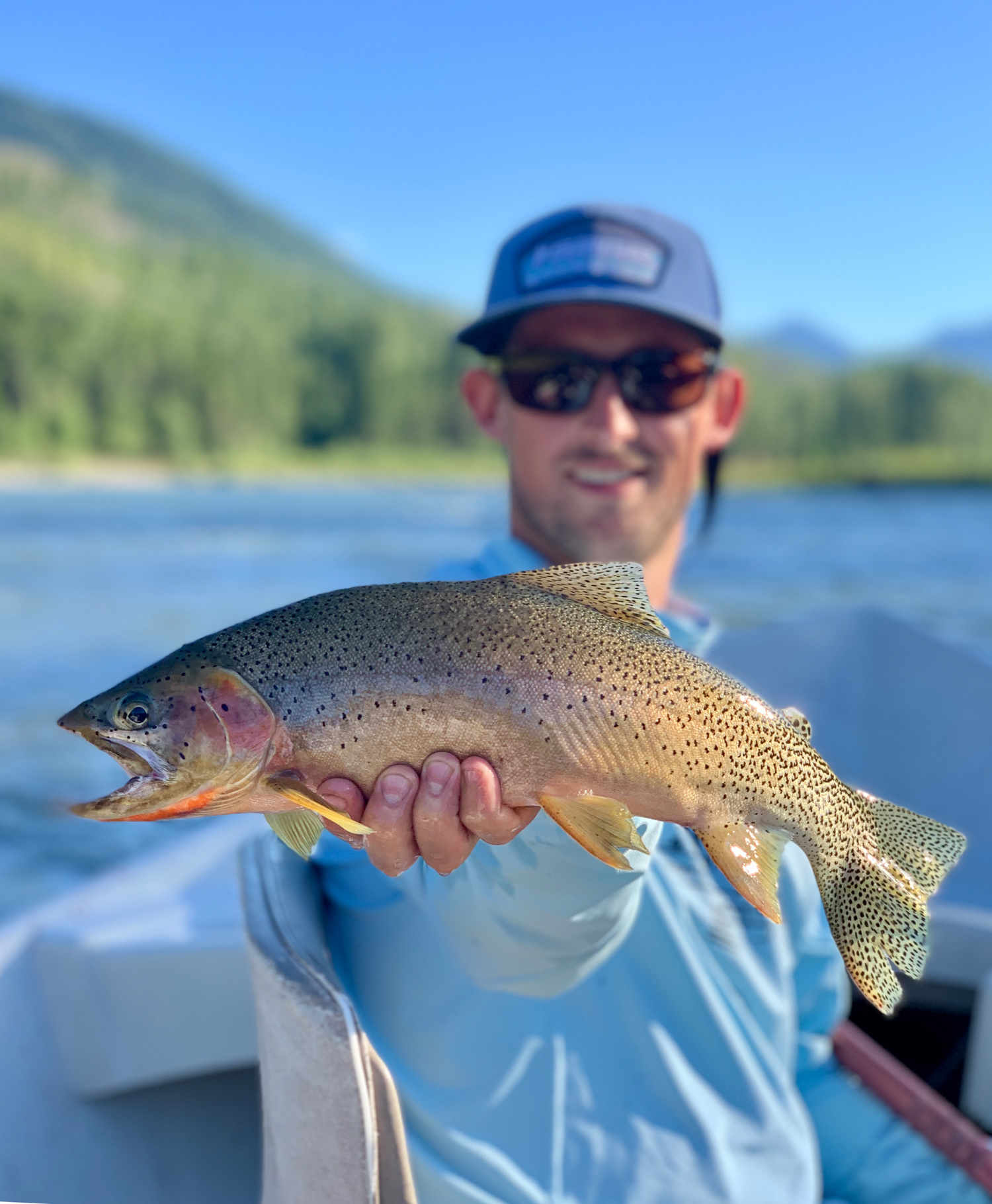 fisherman holding large rainbow trout