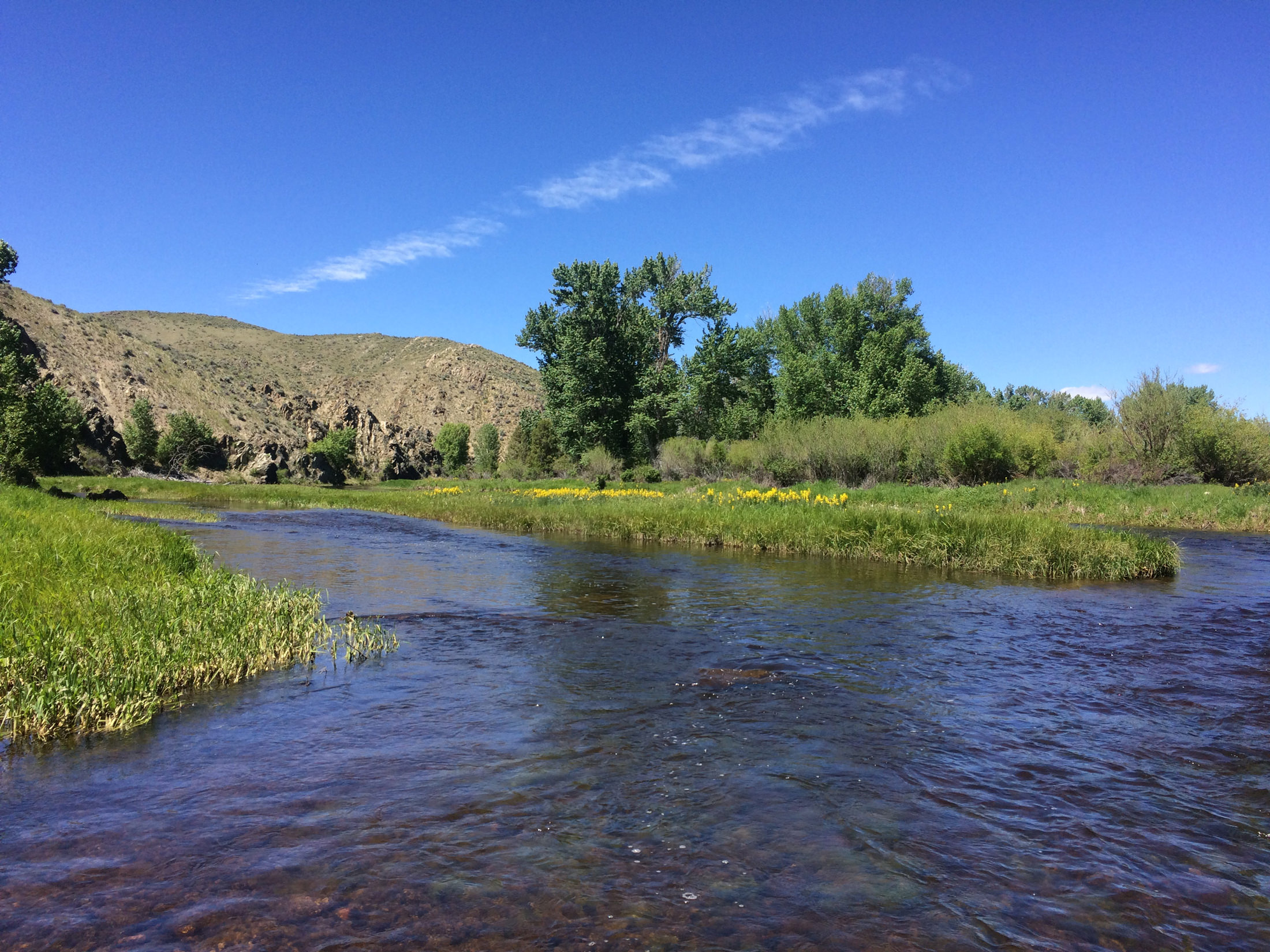 Scenic river photo